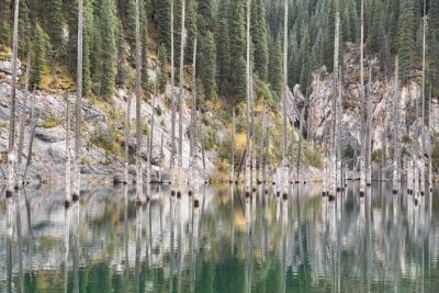 1 Day Tour Charyn Canyon, Kolsai/Kaindy lakes - Lake Kaindy at 2,000 m: forest setting and birch-grove naming