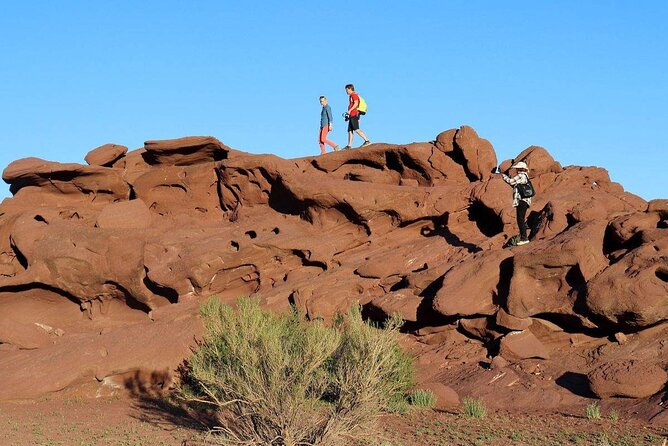 2 Days Tour: Altyn Emel National Park – Singing Dunes & Aktau Mountains - Guides make the difference: what to look for