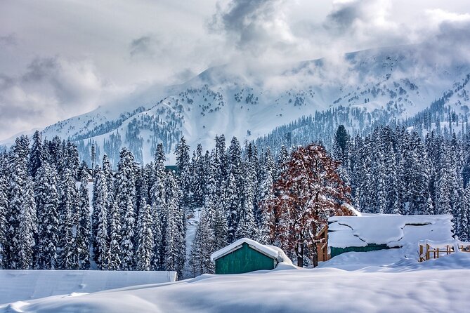 5 Days and 4 Nights Private Tour of Kashmir - Key highlights worth knowing before you go