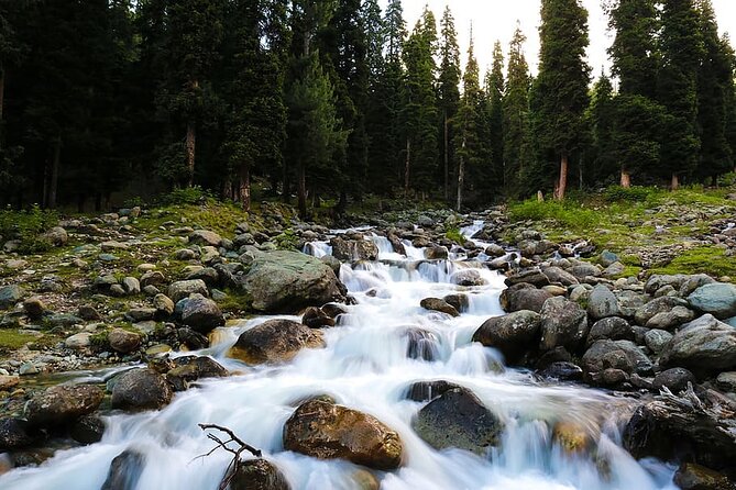 5 Days and 4 Nights Private Tour of Kashmir - Nishat, Shalimar, Chashme Shahi and Pari Mahal: the Mughal gardens you’ll actually remember
