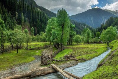 6 Days and 5 Nights Private Tour of Kashmir - A Private Kashmir Loop from Srinagar: How the Value Adds Up