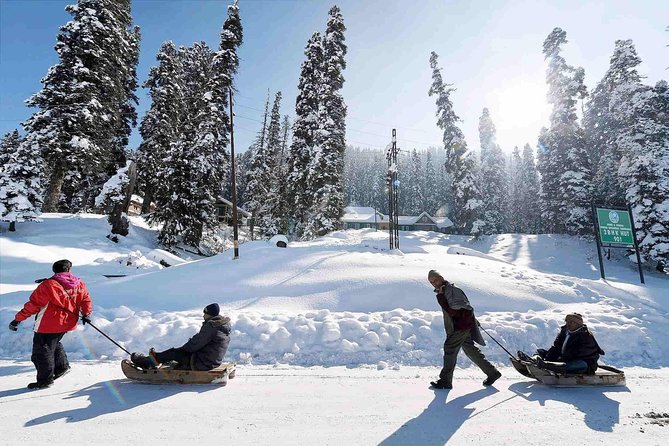 6-Days Luxury Tour Package of Kashmir from Srinagar - Day 5: Gulmarg gondola access to Apharwat (plus winter-season skiing)