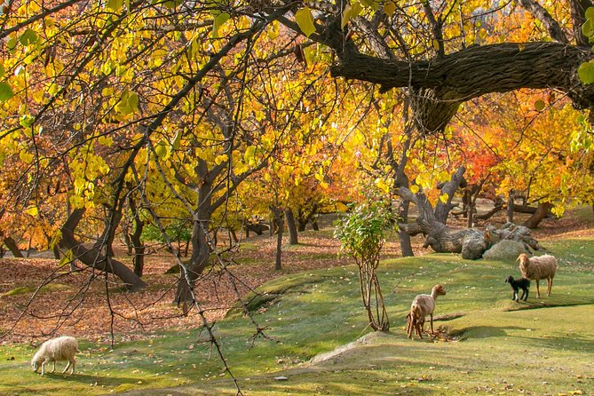 7-Days Autumn Tour to Hunza Valley - Key things I’d bank on before you go