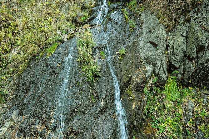 Alma-Arasan gorge tour - Getting there smoothly: meeting point, return, and local comfort