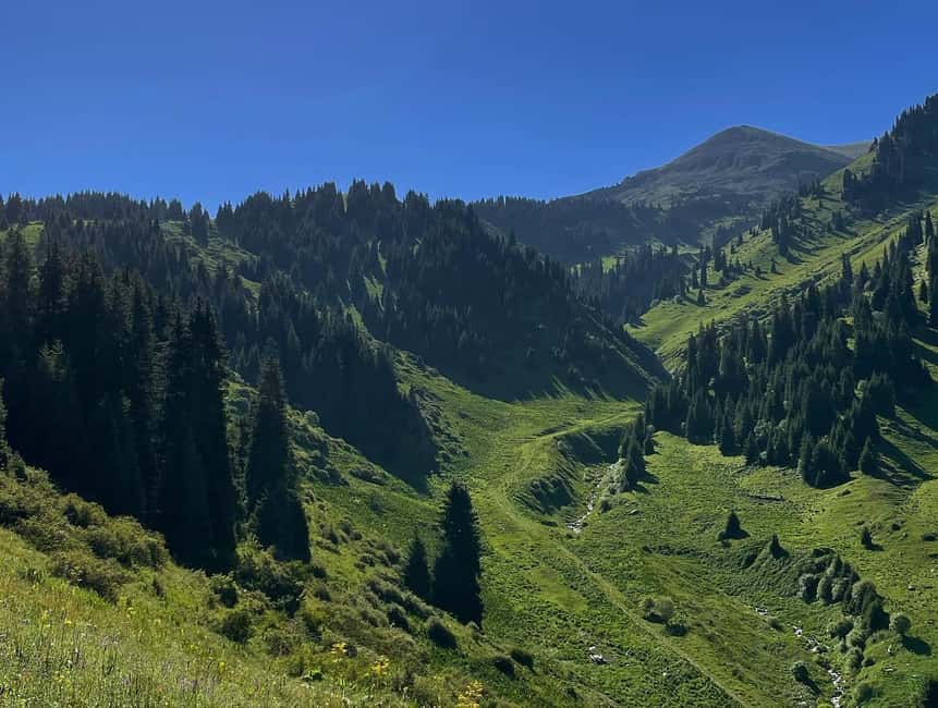 Almaty: Advanced Hiking - Four Peaks Hike - Four Peaks Near Almaty: Why This Is the Real Challenge Day