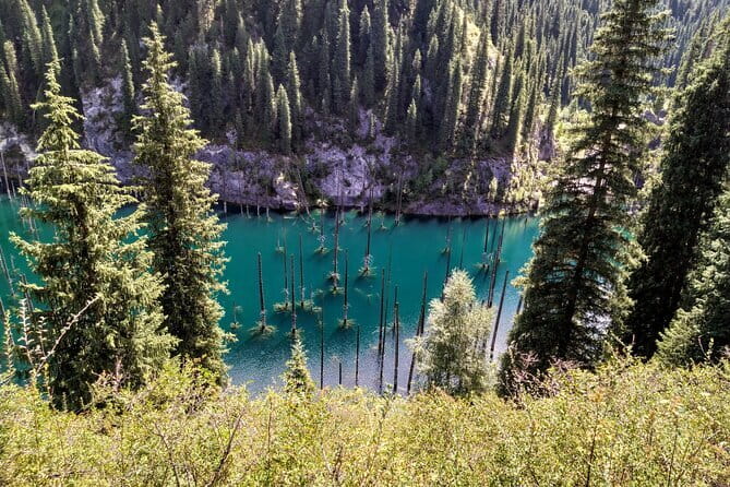 Almaty City Tour: A Journey Through Culture, History, and Nature - Pace, private transport, and getting value from $144