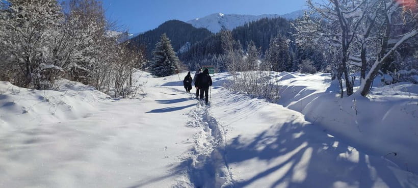 Almaty: Hiking to the High Mountain Pasture Kok Zhailau - Guide support and the small extras that make a long day work
