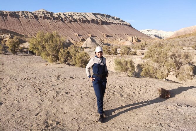 Altyn emel 2 days tour. (Singing dune, AkTau, KattyTau) - Day One Components: Altyn-Emel’s Singing Dune and Wildlife Chances