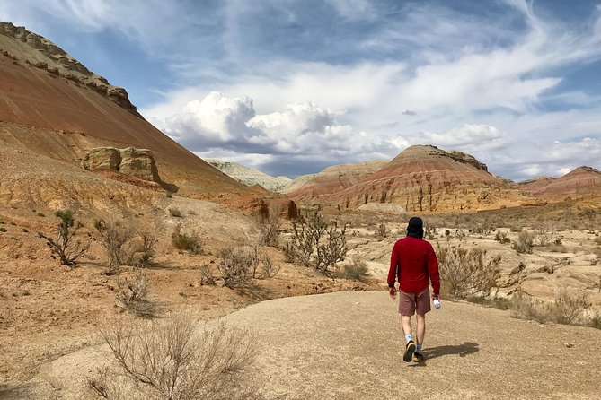 Altyn Emel National Park, Private tour, 2 days from Almaty - Key things to know before you go