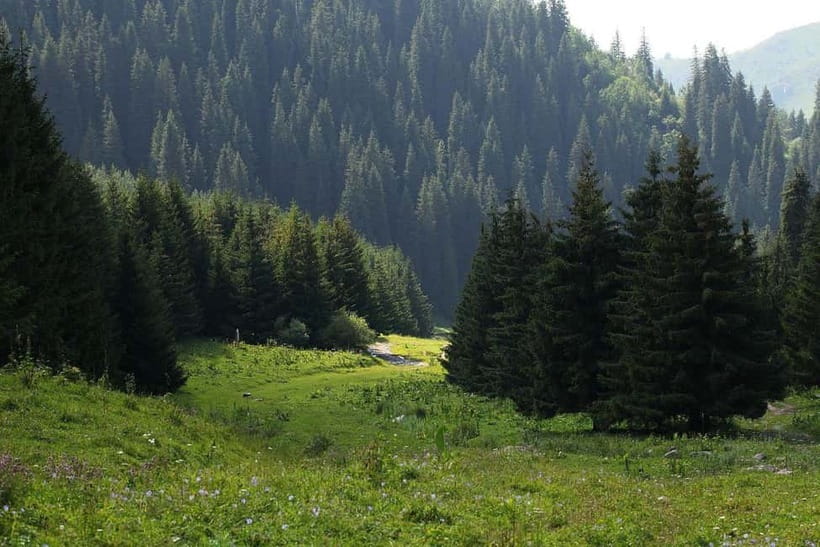 "Butakovka Waterfall" - a half day tour - Butakovka Waterfall: What the Place Is Really Like