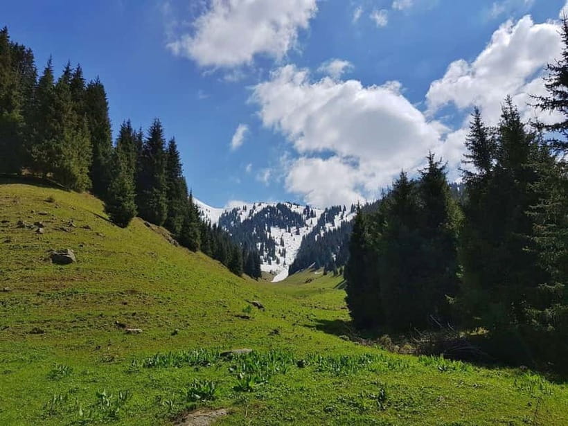 "Butakovka Waterfall" - a half day tour - The Trail and Your Comfort Level: Easy? Medium? Be Honest