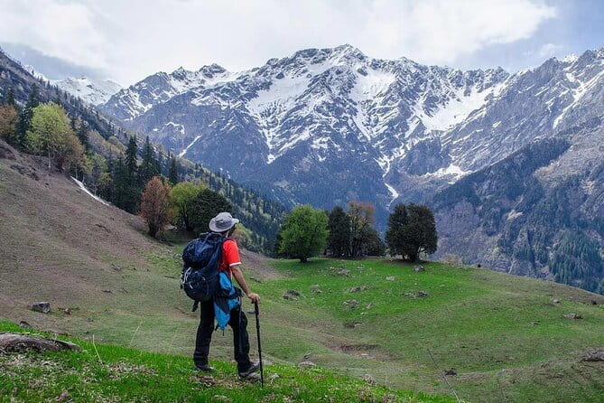 Dayara Bugyal and Surya Top Trek - Day 3: The Dayara Top Push (12 km Round Trip) and Those 360 Views