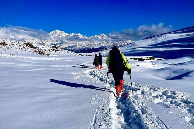 Dayara Bugyal and Surya Top Trek - The 4 Days, Broken Down Simply (No Guesswork)