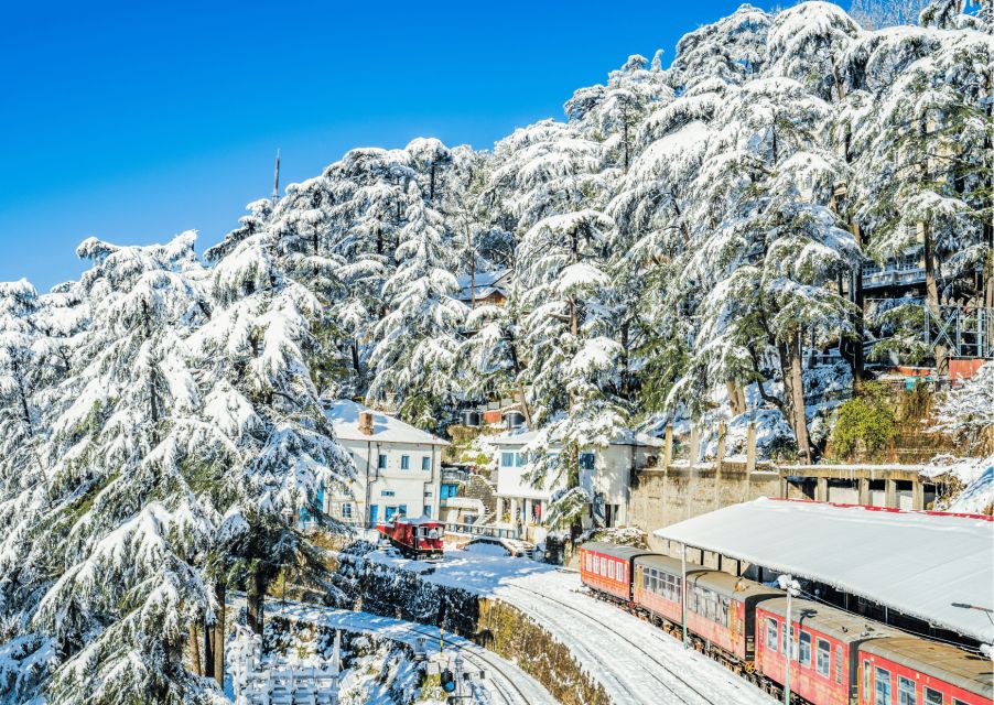 Discover the Colonial Trails of Shimla- Guided Walking Tour - The guide makes or breaks it: Storytelling in English and Hindi