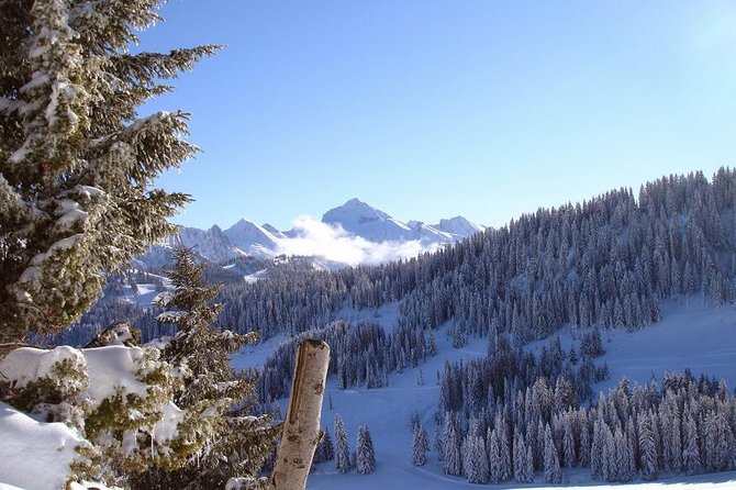 Exotic Manali Package - Key things to know before you go