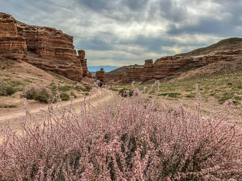 From Almaty: Charyn Canyon Full-Day Trip with Boxed Lunch - Inside Charyn Canyon National Park: What the Guide Helps You See