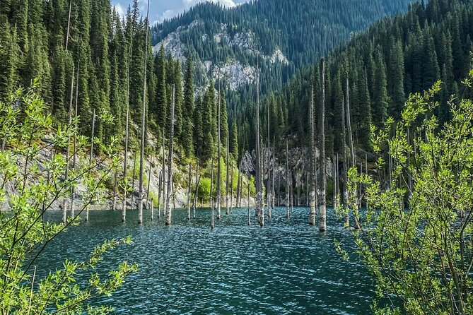 Kolsai, Kaindy Lakes and Charyn Canyon Small-Group Tour - Key things you’ll notice on this tour