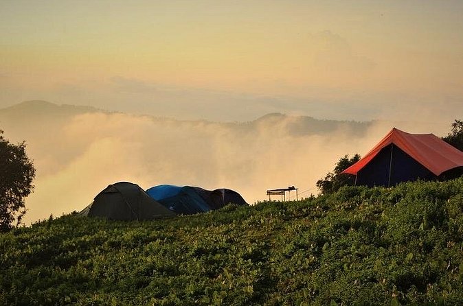 Nag Tibba 2 Days Trek (Pantwari to Pantwari) - How hard is Nag Tibba, really?