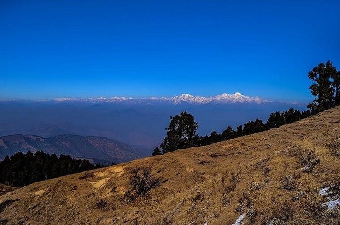 Nag Tibba 2 Days Trek (Pantwari to Pantwari) - Price and value: why $24 can make sense here