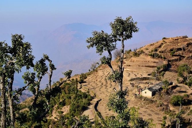 Nag Tibba 2 Days Trek (Pantwari to Pantwari) - Should you book Nag Tibba 2 Days (Pantwari to Pantwari)?