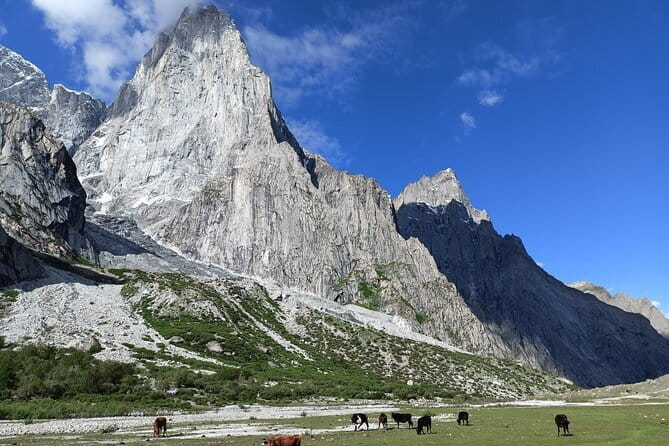 Nangma Valley Trek- The New Trending Place for Adventure lovers - Mingulo Broq, Amin Brak, and the K6 day that changes everything