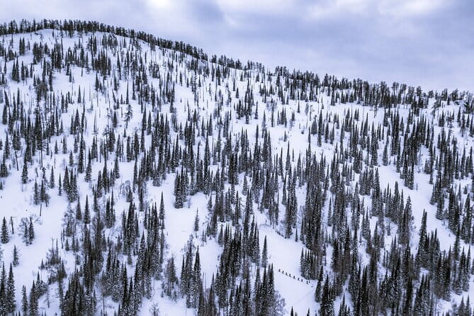 One Day Ski Tour Near Almaty - Zailijskij Alatau: walking the ridge and skiing the wild lines