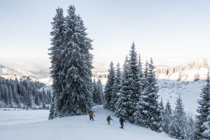 One Day Ski Tour Near Almaty - Price and value: what $277 covers and what you’ll likely add