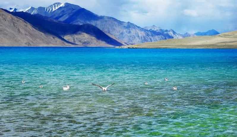 Overnight Pangong Tour From Leh With Thiksey & Shey Palace - Leh to Pangong Lake: driving over Chang La Pass