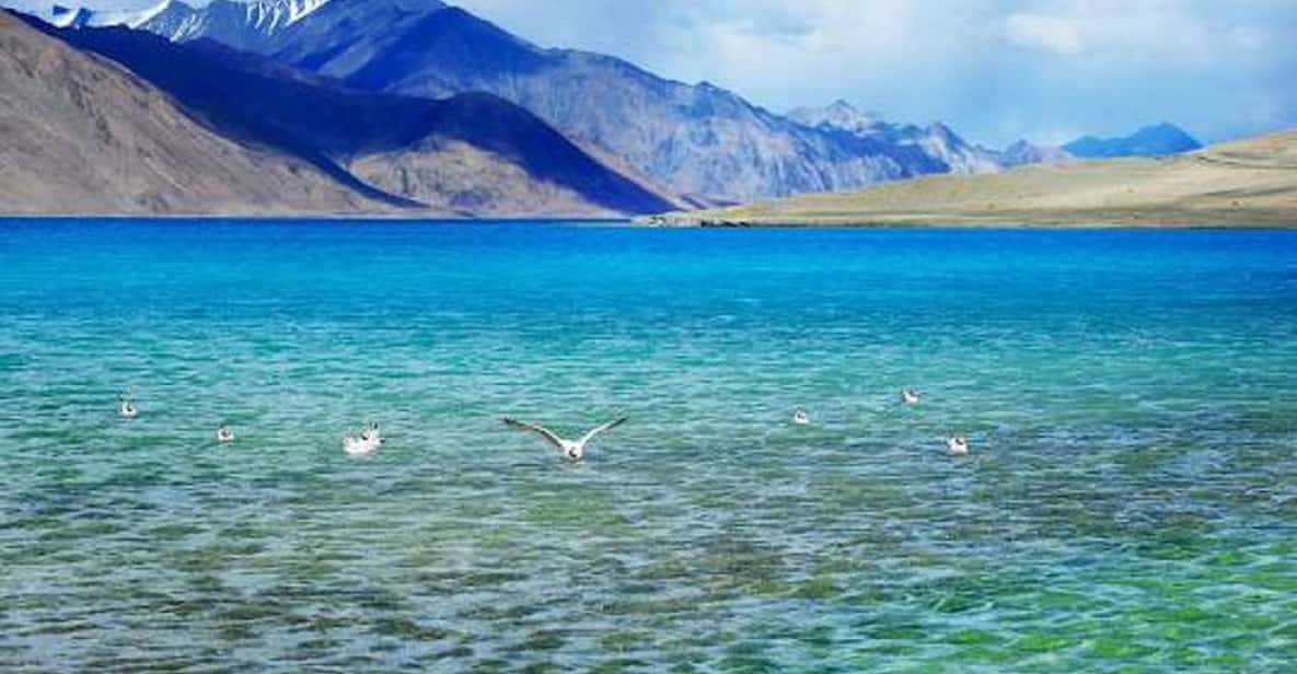 Overnight Pangong Tour From Leh With Thiksey & Shey Palace - Who this overnight Leh to Pangong tour suits best