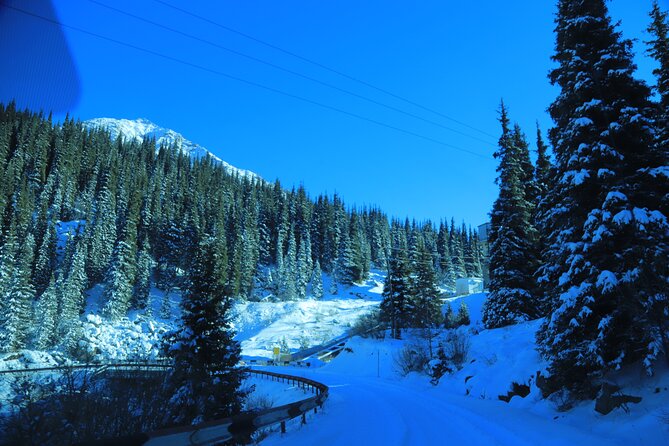 Private Big Almaty Lake Hiking Tour with alternatgive Pipeline - The guide factor: Erasyl and why it matters