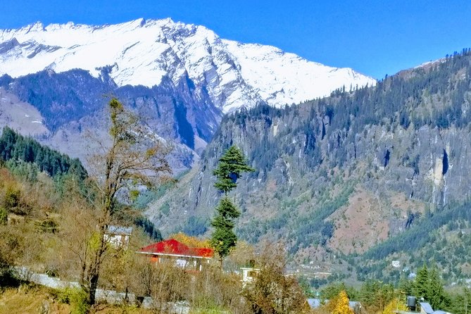 Private One Day Hiking Trip in Manali, Scenic Mountain Trail in Manali - Why this private Manali day hike feels like good value