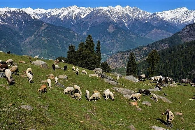 Private One Day Hiking Trip in Manali, Scenic Mountain Trail in Manali - Pickup, mobile tickets, and getting back to Manali