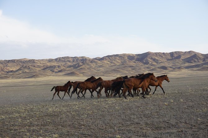 Private tour Almaty Region 3 days with Silktravel - Day 2: Singing Dune and Charyn’s Castles Valley Walk