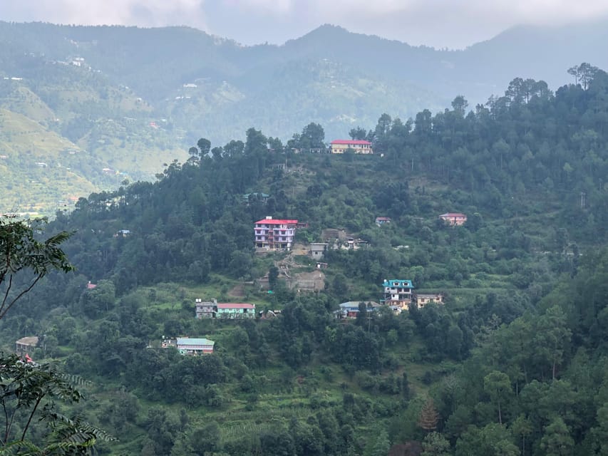 Shimla: Experience the Best of Shimla with a Local Guide - Price and value: what $43 buys you in a private setting