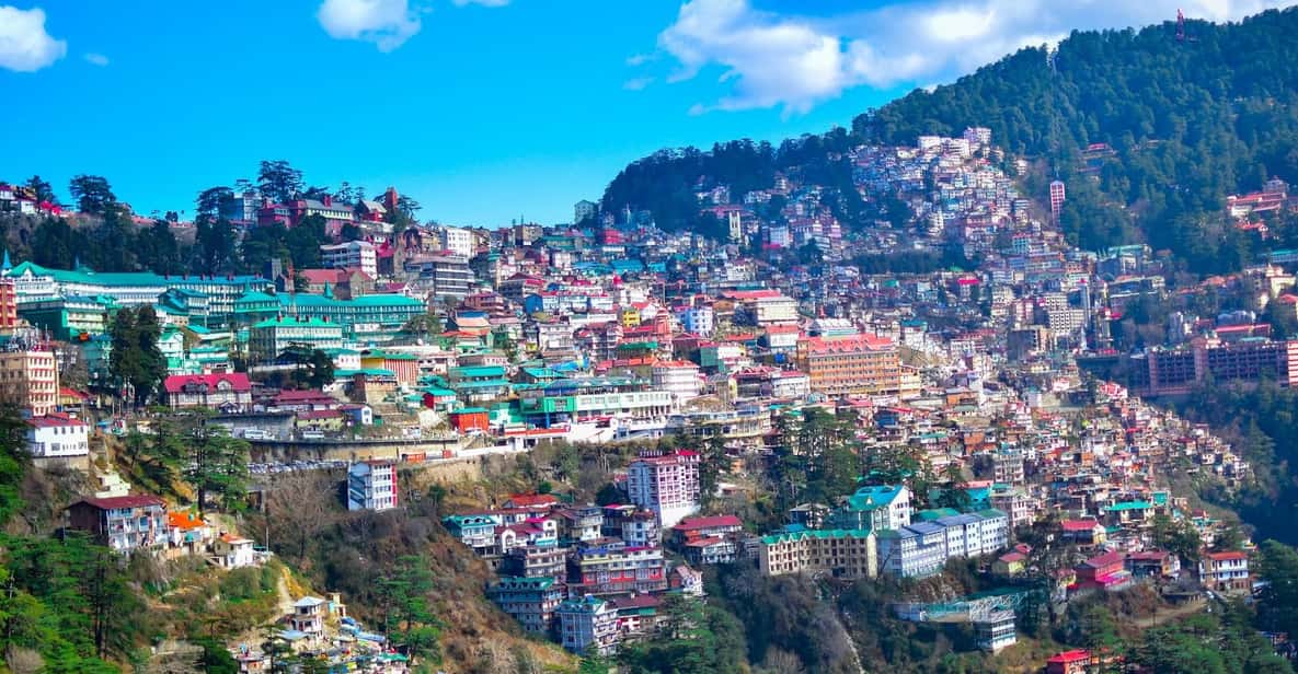 Shimla: Experience the Best of Shimla with a Local Guide - Who this Shimla tour is best for