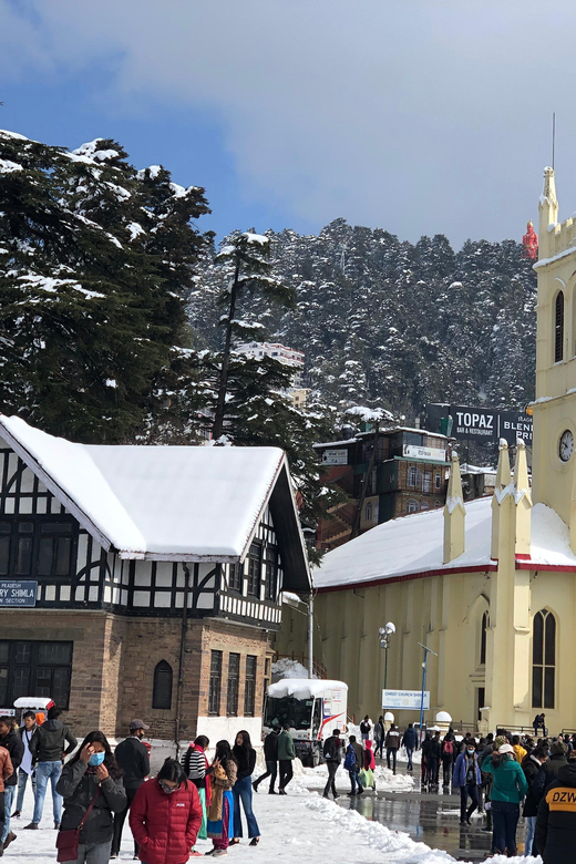 Shimla: Experience the Best of Shimla with a Local Guide - Tips to get the most out of your guided day