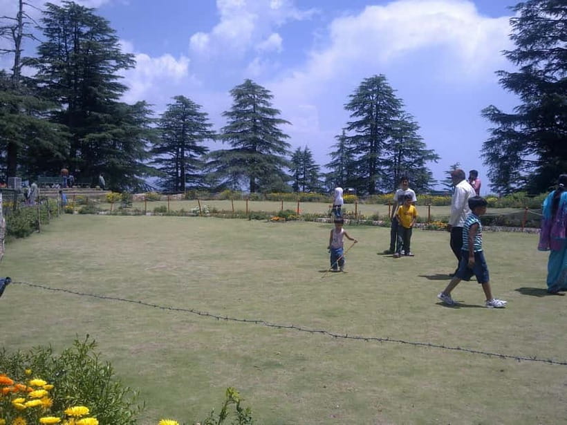 Shimla: Hiking Tour to Jakhu Hill with Local Guide - The Climb to Jakhu Hill: What the 3-Hour Rhythm Feels Like