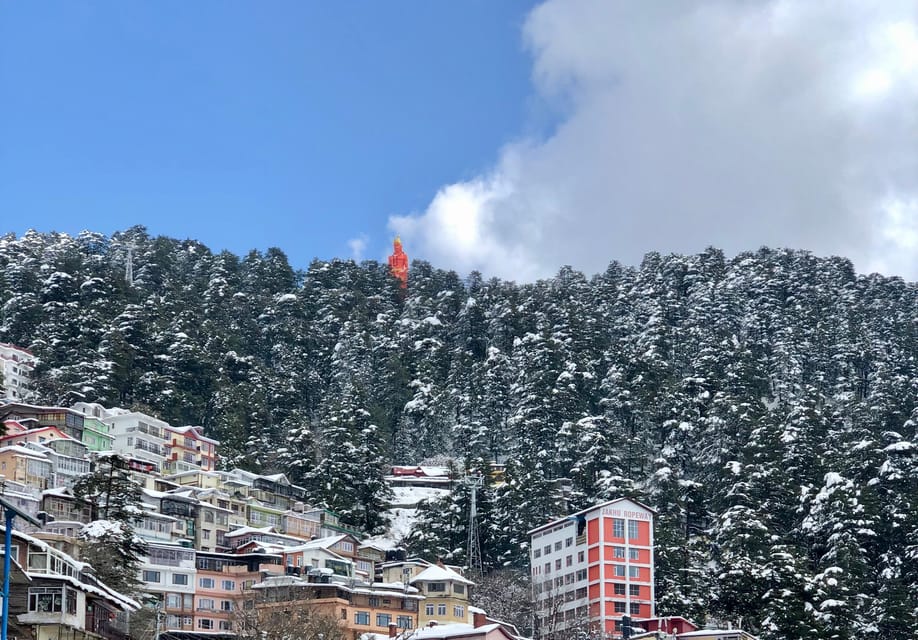 Shimla: Hiking Tour to Jakhu Hill with Local Guide - Monkey Reality Check: How to Stay Calm Around Them
