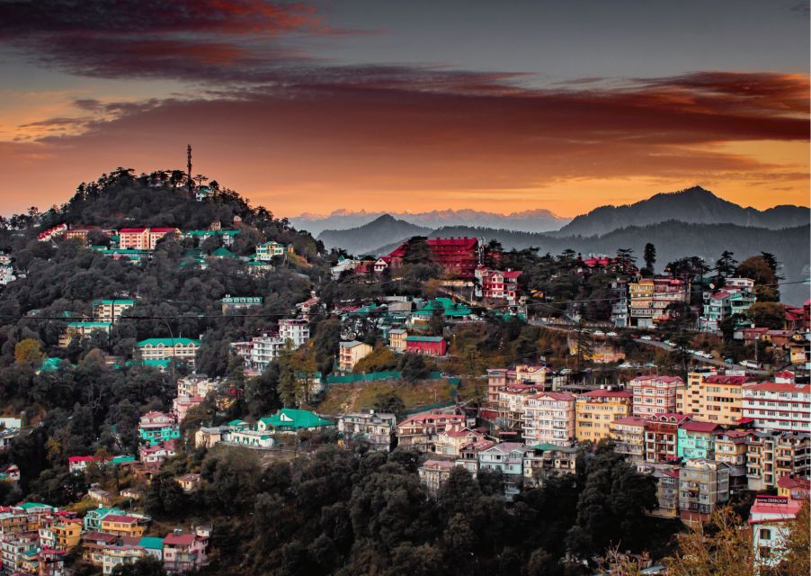 Shimla Nature Walk (3 Hours Guided Trekking Experience) - Quick highlights you’ll actually remember