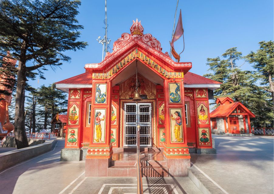 Shimla Nature Walk (3 Hours Guided Trekking Experience) - Pace, comfort, and guide behavior: how to set yourself up