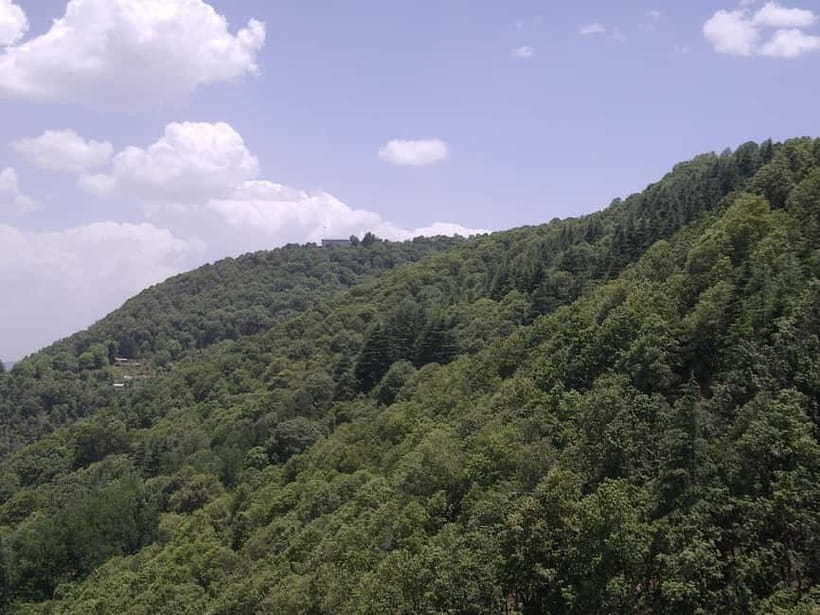 Shimla: Temples Tour with full day Local Driver Guide - Your Day of Pickup, Private Transport, and the Pace You Should Expect