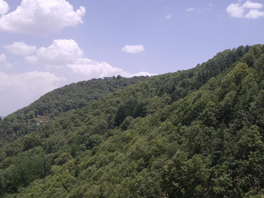 Shimla: Temples Tour with full day Local Driver Guide - Shiv Mandir: A Quick Stop That Still Counts