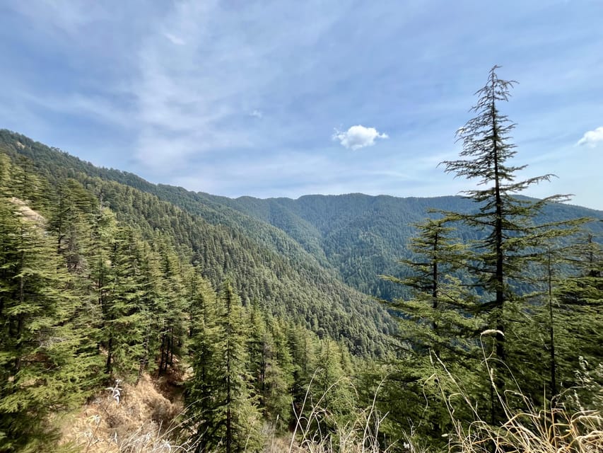Shimla: Wildlife Sanctuary & Water Catchment Guided Tour - When to go: seasonal timing and daily hours that matter