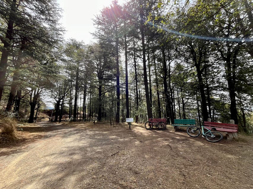 Shimla: Wildlife Sanctuary & Water Catchment Guided Tour - A quiet side of Shimla: forest roads and a working water catchment