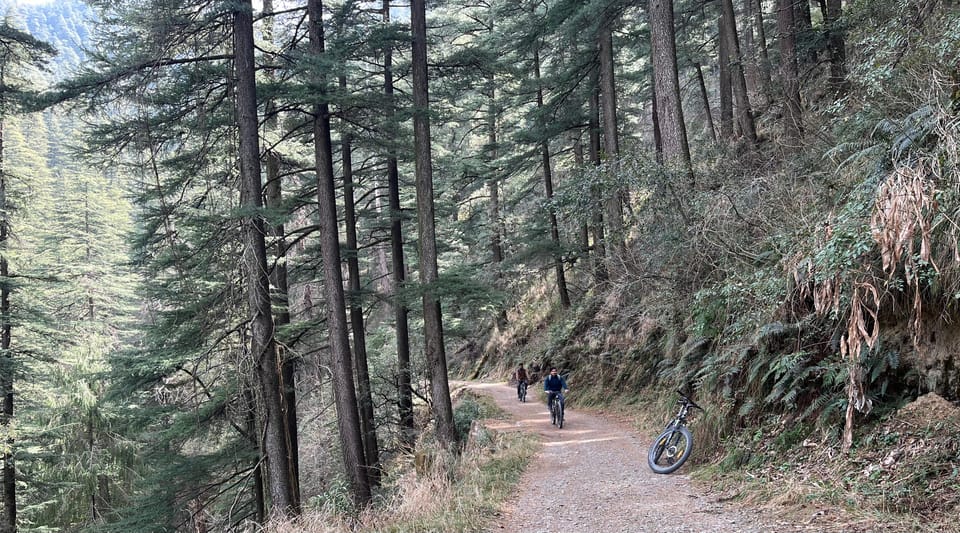 Shimla: Wildlife Sanctuary & Water Catchment Guided Tour - Price and value: why about $26 can make sense