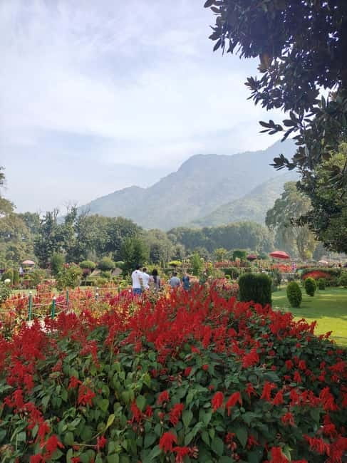 Srinagar: Private Old City and Mughal Gardens Guided Tour - Nishat Garden: Terrace Views and the Mughal Pleasure Style