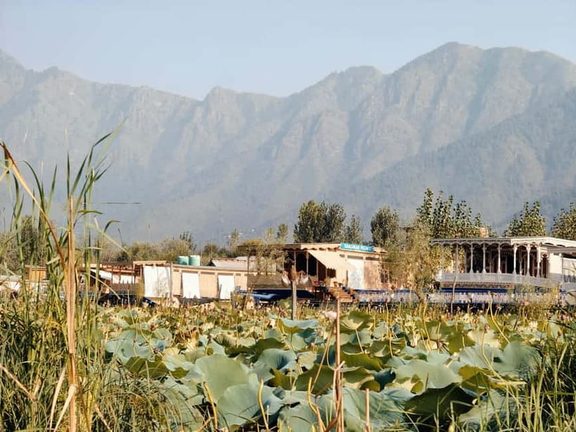 Srinagar: Private Old City and Mughal Gardens Guided Tour - AC Car Comfort Meets Private Pace (And Why That Matters)