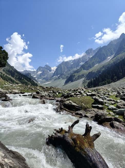 Srinagar: Sonamarg Day Tour - The Golden Meadow Adventure - Sonamarg Town Stops: Photos, Guided Views, And Silk Road Whispers