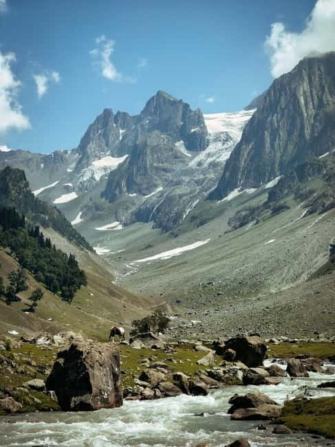 Srinagar: Sonamarg Day Tour - The Golden Meadow Adventure - Zojila Pass: A Powerful Add-On, Not Guaranteed in the Base Day