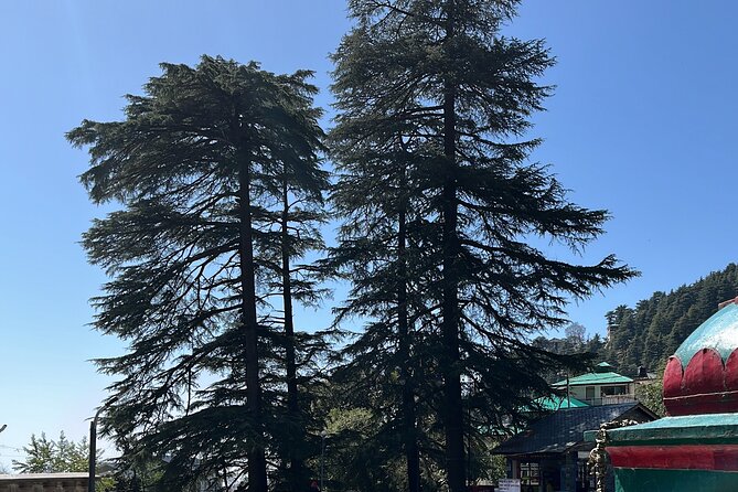 The Story Of Himalayas - A Journey from Amritsar to Dharamshala - Day 2: Tibetan art lessons, Gyuto rituals, and Dhauladhar views at Naddi